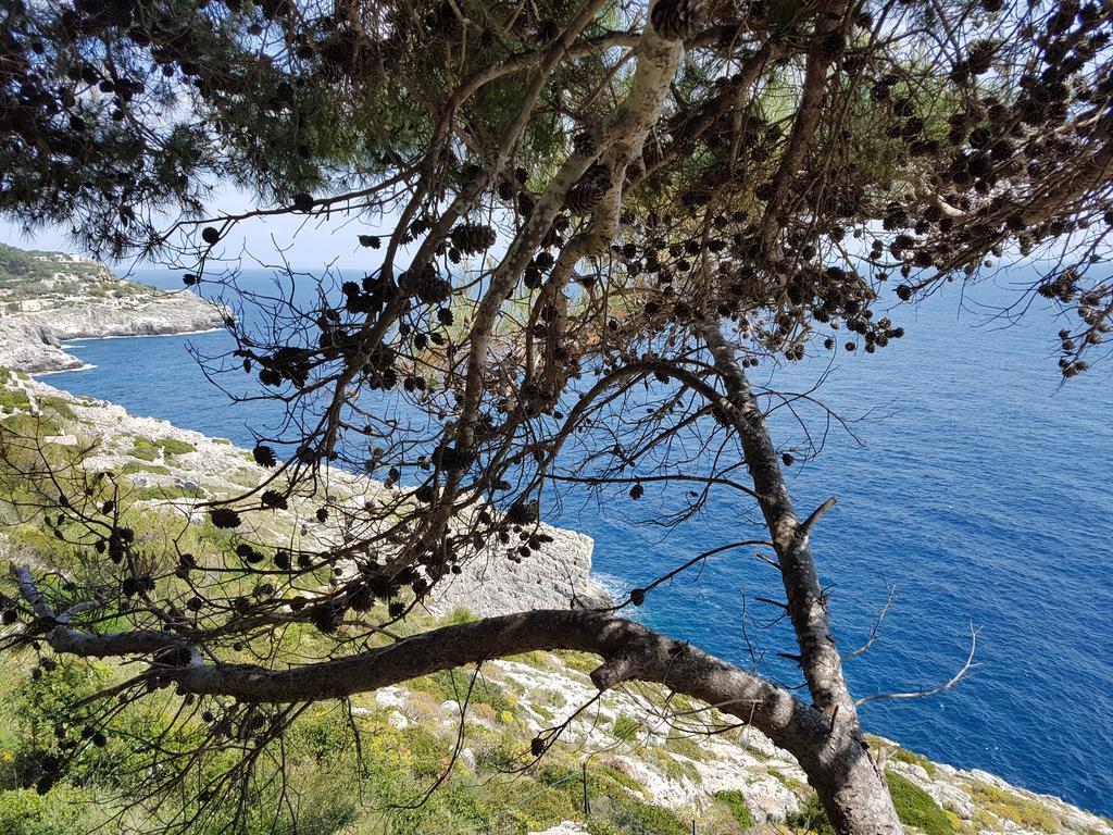 Villa Bocca Del Pozzo Gagliano del Capo Extérieur photo