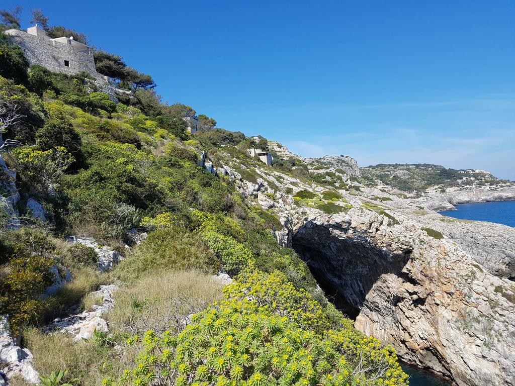 Villa Bocca Del Pozzo Gagliano del Capo Extérieur photo